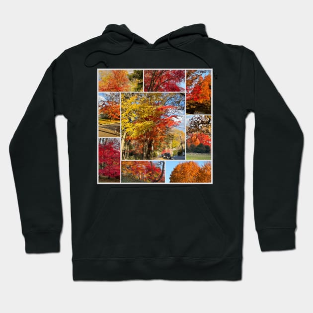 Foliage Collage Hoodie by Barschall